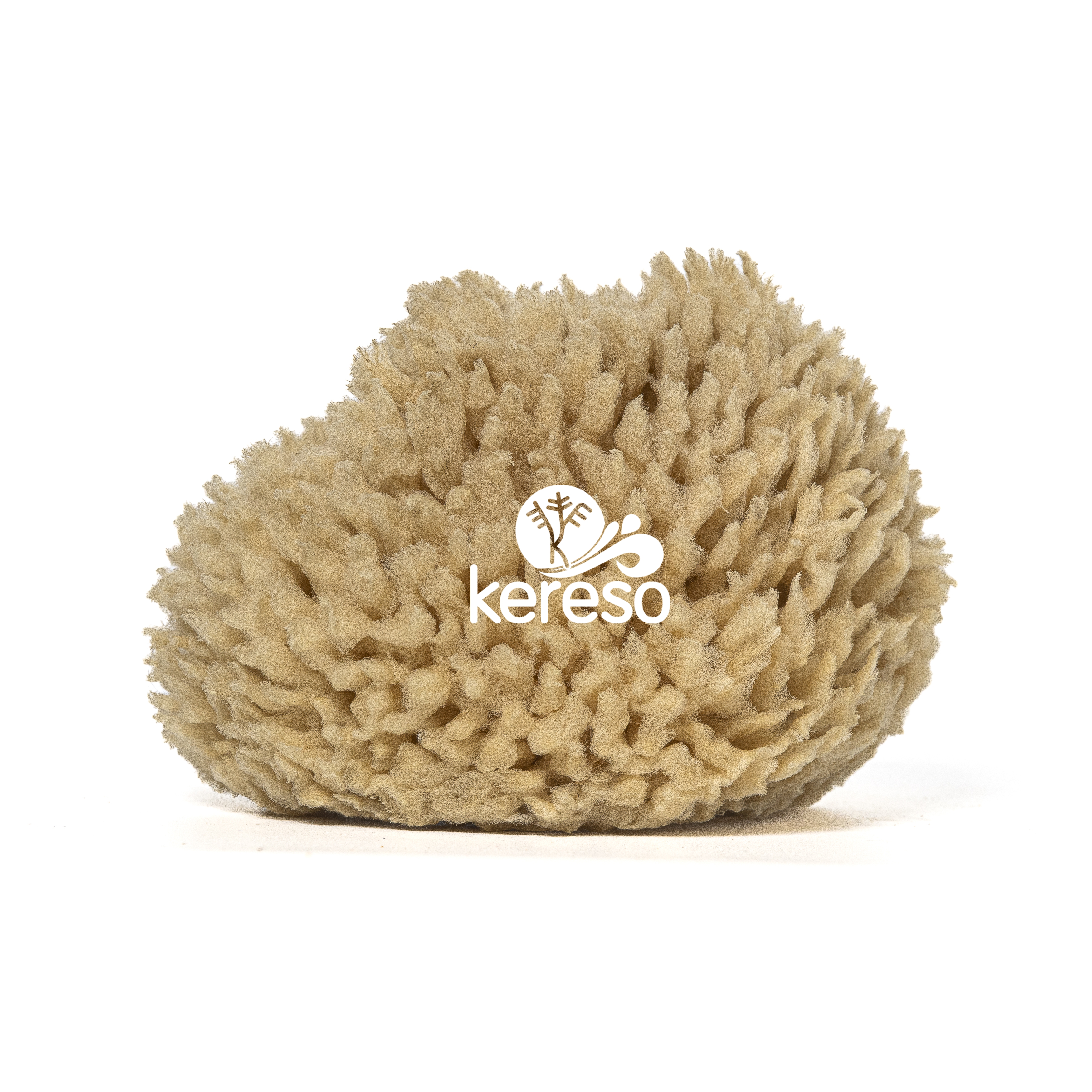 wool sea sponge