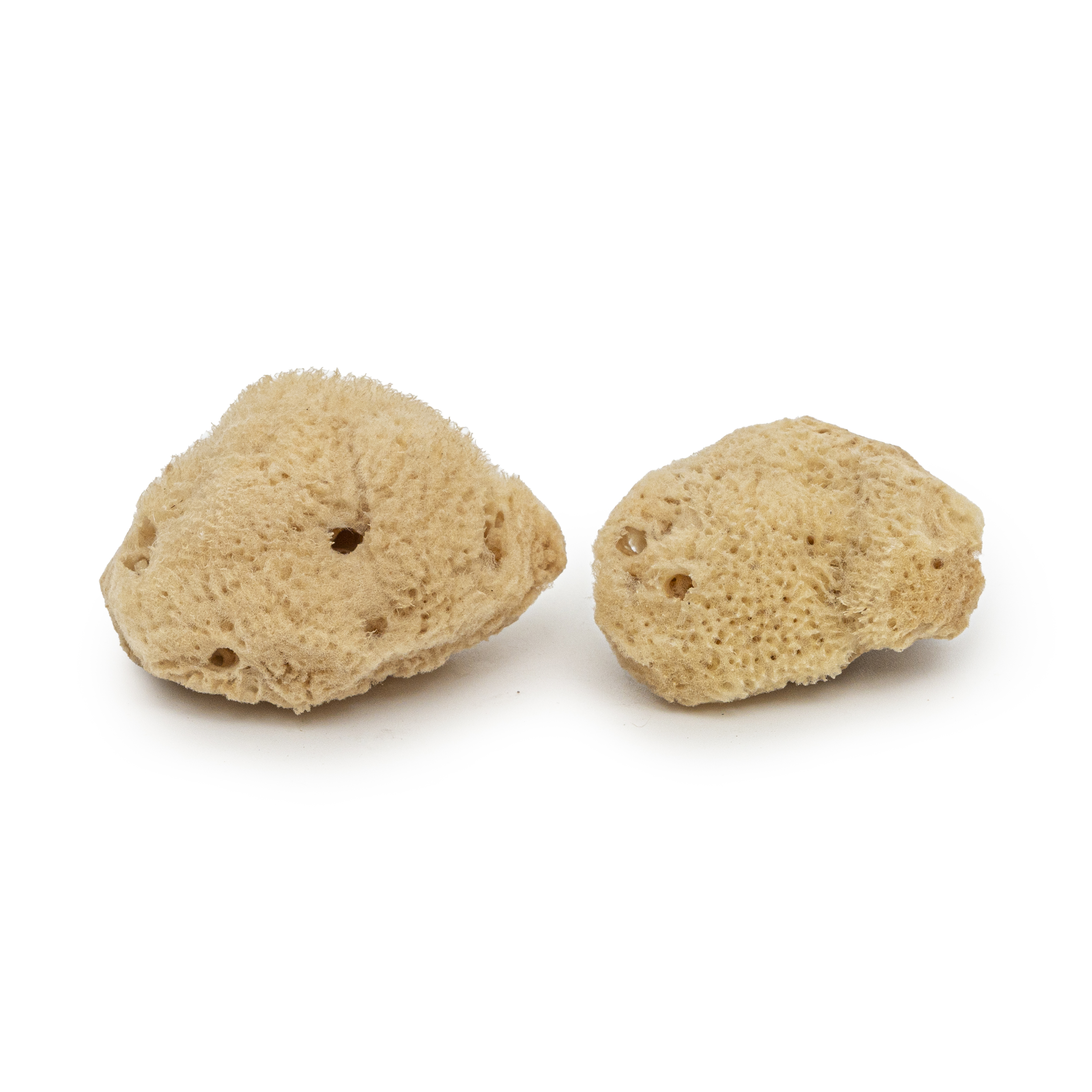sea sponge menstrual