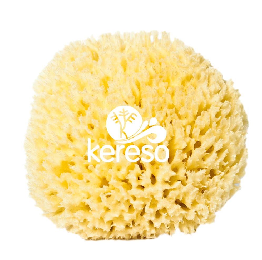 Sea Sponges Loofah